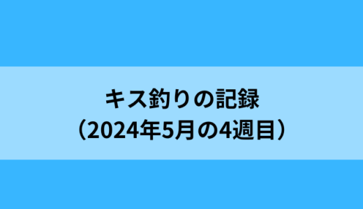 雨の後のキス釣り（2024年5月の4週目）